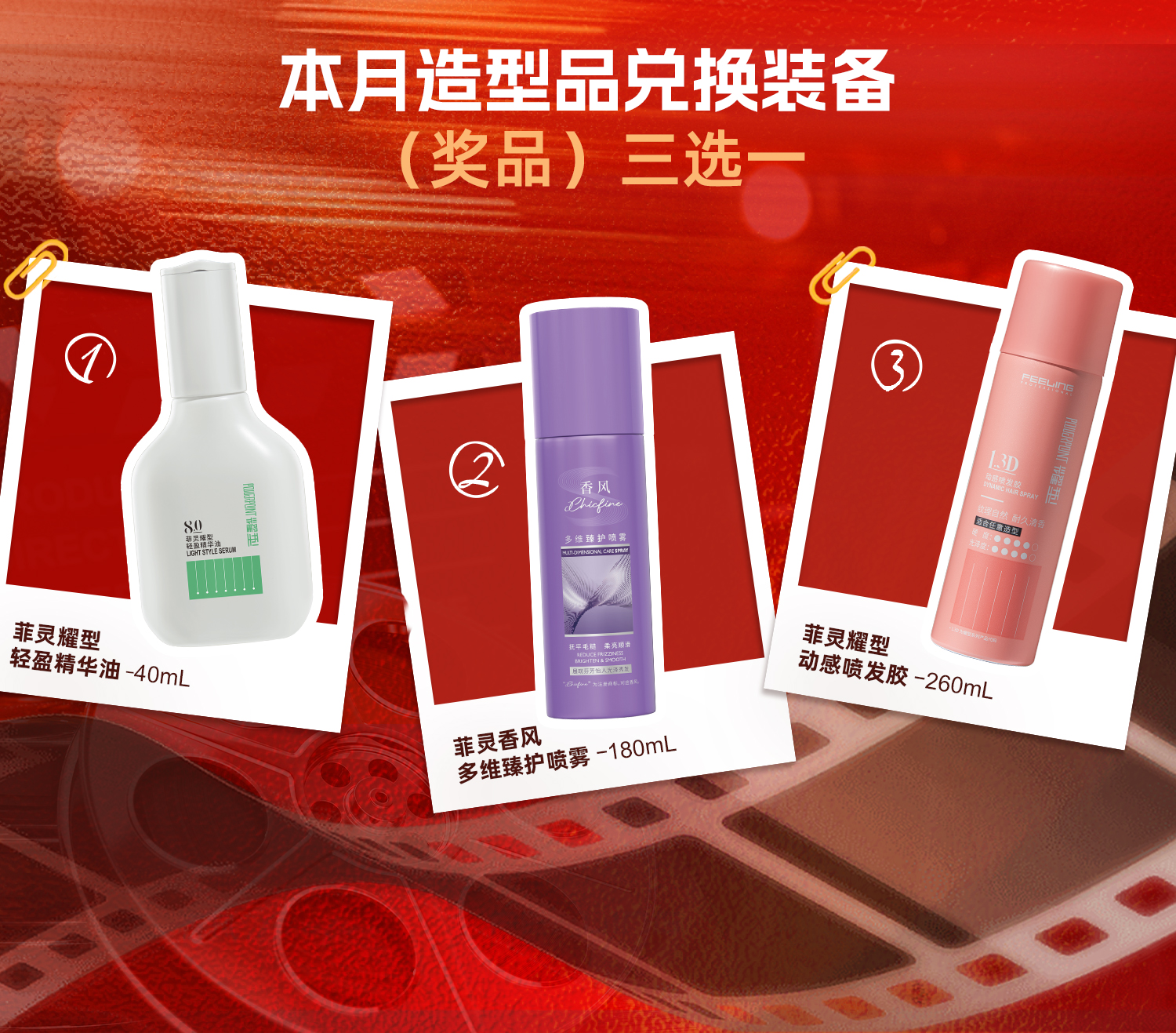 菲灵2026星光创作者计划